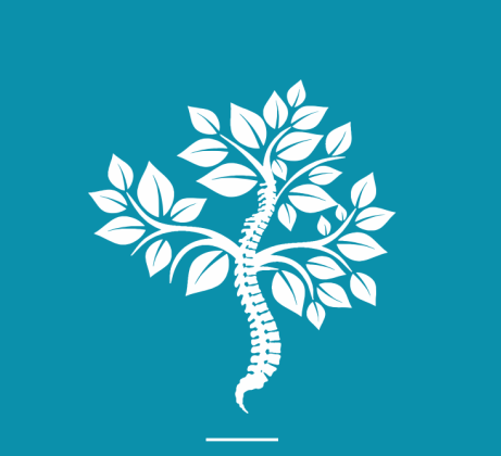 Fyzosté logo